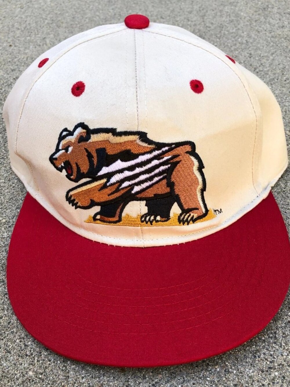 FRESNO GRIZZLIES Minor League Baseball Snapback Hat Men's MiLB Beige Cap
